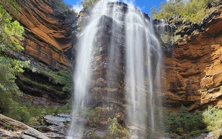 Day tours are short travel experiences designed to be completed within a single day. They usually start and end at the same location