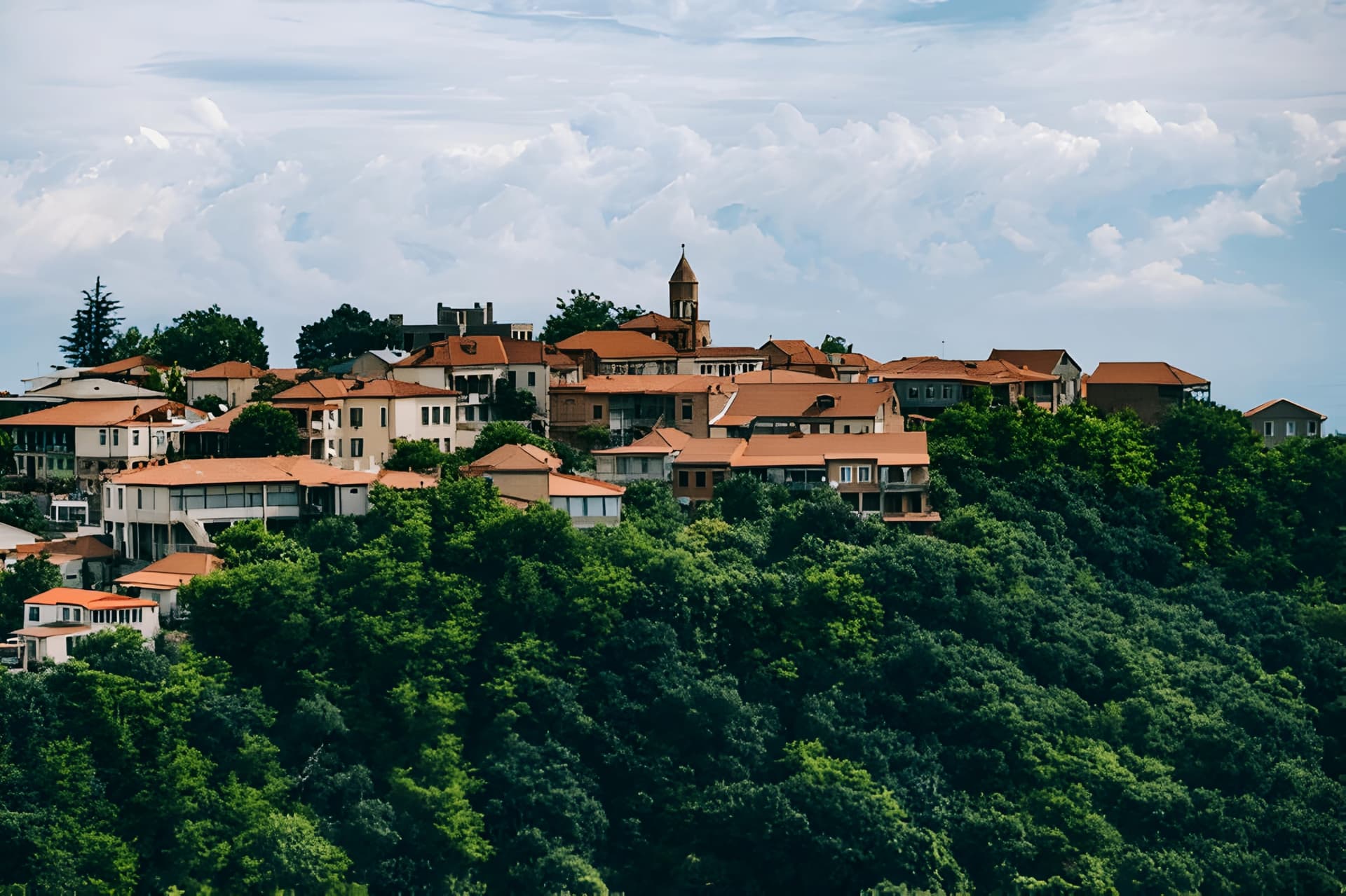 Private Tour From Tbilisi to Kakheti Sighnaghi with Wine Tasting image 13